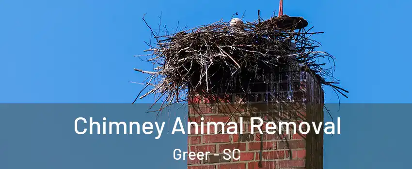 Chimney Animal Removal Greer - SC