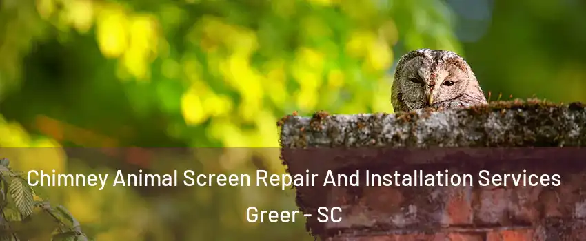  Chimney Animal Screen Repair And Installation Services Greer - SC
