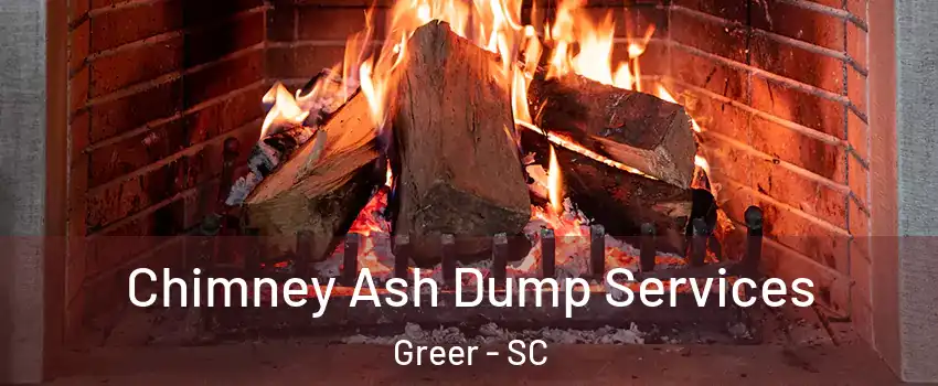  Chimney Ash Dump Services Greer - SC