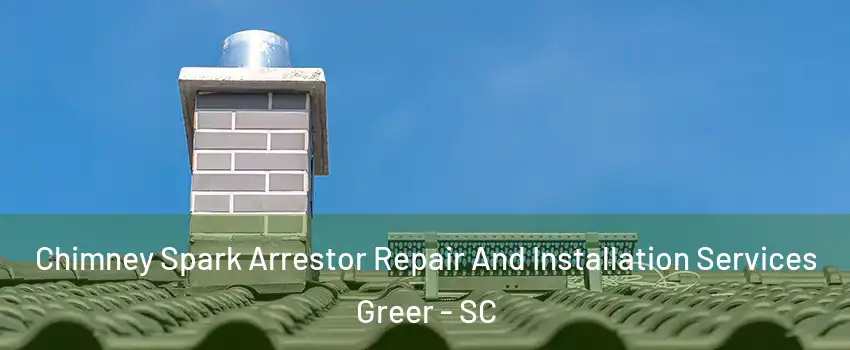  Chimney Spark Arrestor Repair And Installation Services Greer - SC