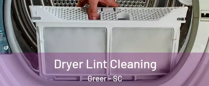  Dryer Lint Cleaning Greer - SC