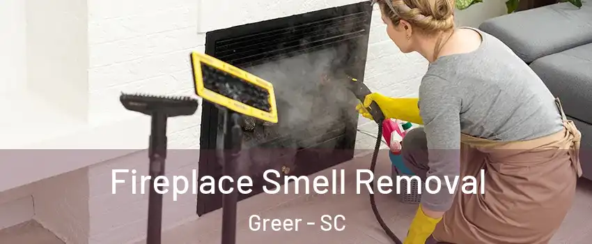  Fireplace Smell Removal Greer - SC