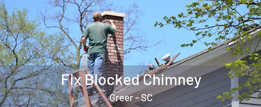  Fix Blocked Chimney Greer - SC