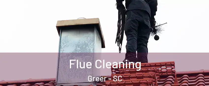  Flue Cleaning Greer - SC