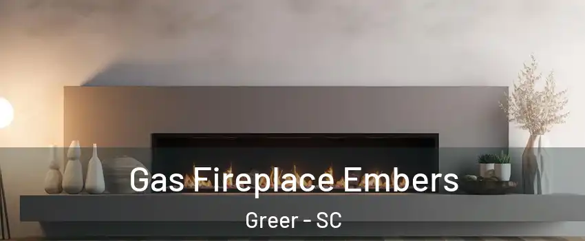  Gas Fireplace Embers Greer - SC
