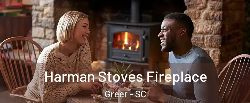  Harman Stoves Fireplace Greer - SC