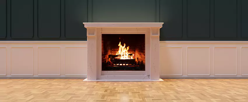 Napoleon Electric Fireplaces Inspection Service in Greer, South Carolina