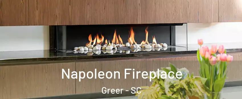  Napoleon Fireplace Greer - SC