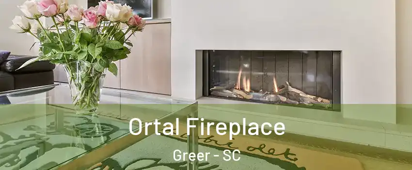 Ortal Fireplace Greer - SC